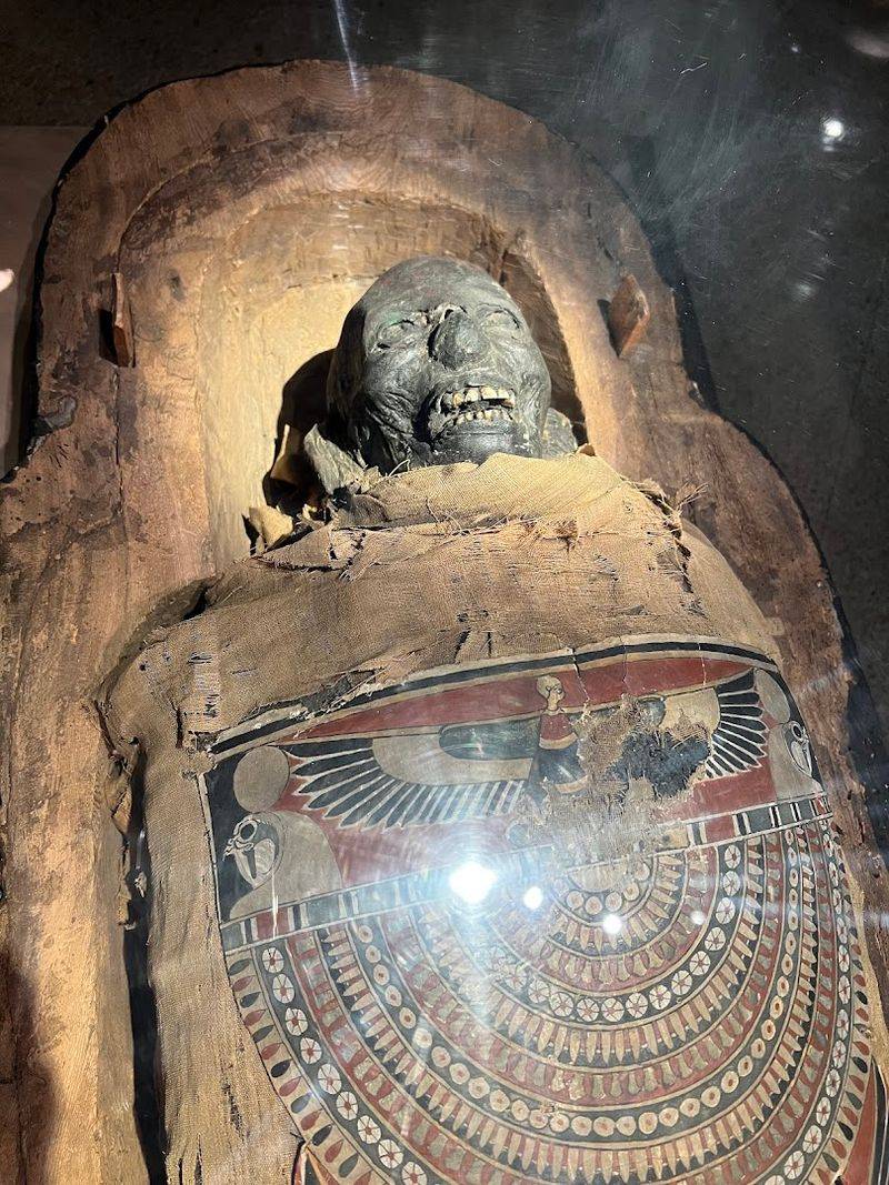 Ancient Civilizations and a Mummy Named Nefrina Ancient Civilizations and a Mummy Named Nefrina
