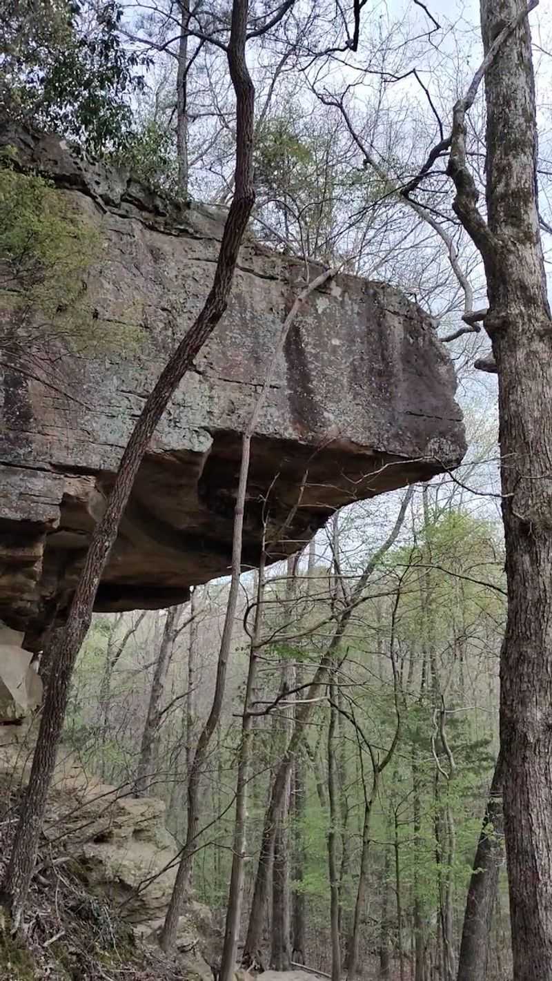 Ancient Rocks That Predate Almost Everything You Know