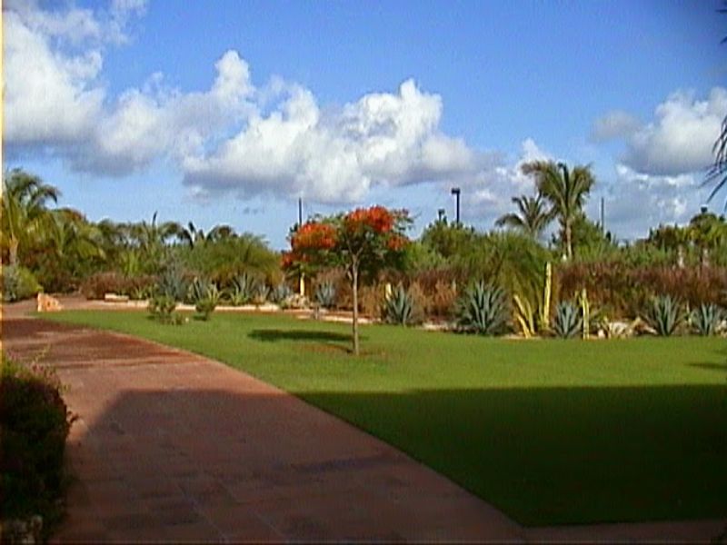 Anguilla Anguilla