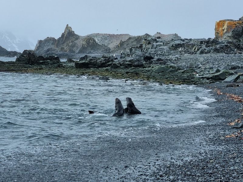 Antarctica: The Last Wilderness