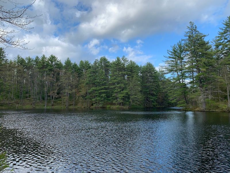 Archery Pond and the Fly-Fishing Spot That Rewards Patience Archery Pond and the Fly-Fishing Spot That Rewards Patience