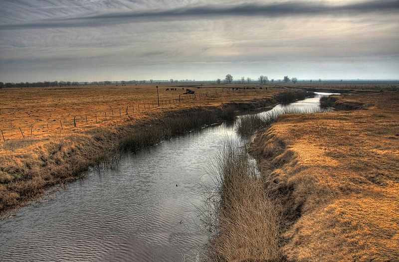 Argentina: The Pampas Feed the Planet