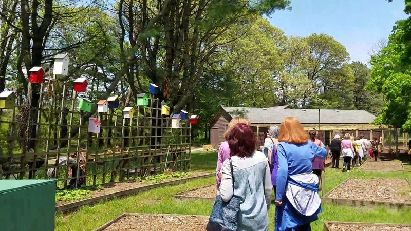 Art Exhibitions and Cultural Programming