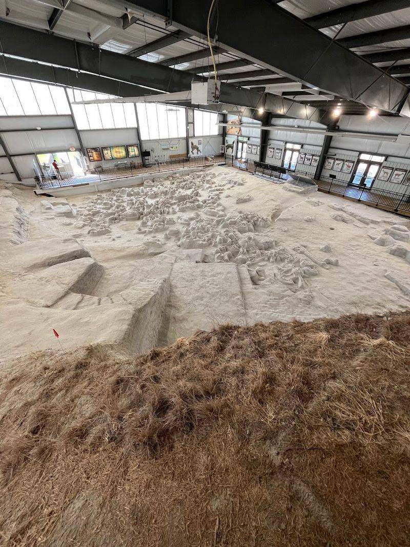 Ashfall Fossil Beds State Historical Park, Royal, Nebraska Ashfall Fossil Beds State Historical Park, Royal, Nebraska
