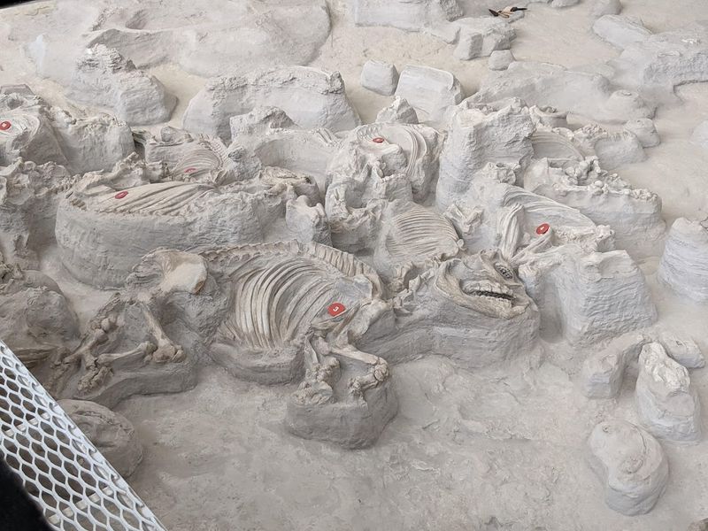 Ashfall Fossil Beds State Historical Park, Royal, Nebraska