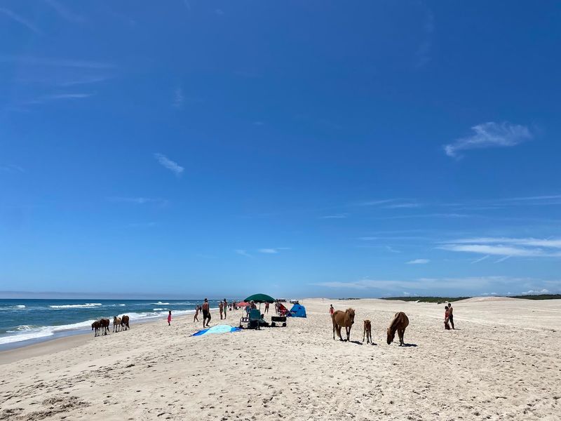 Assateague Island National Seashore, Maryland and Virginia