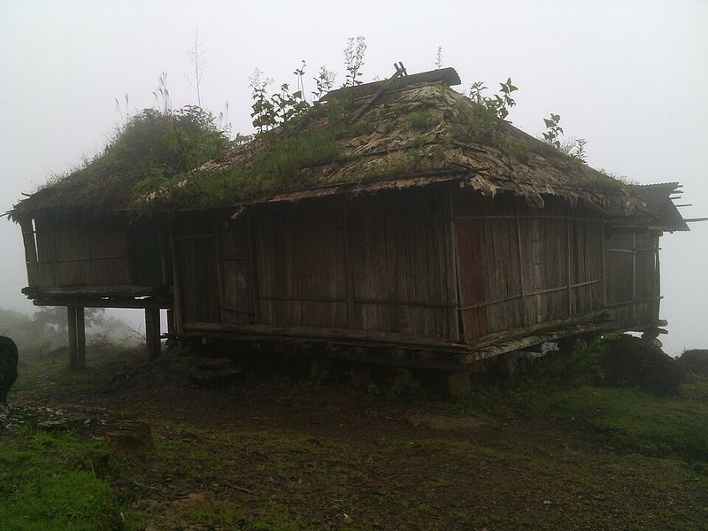 Awá (Guajá) – Brazil