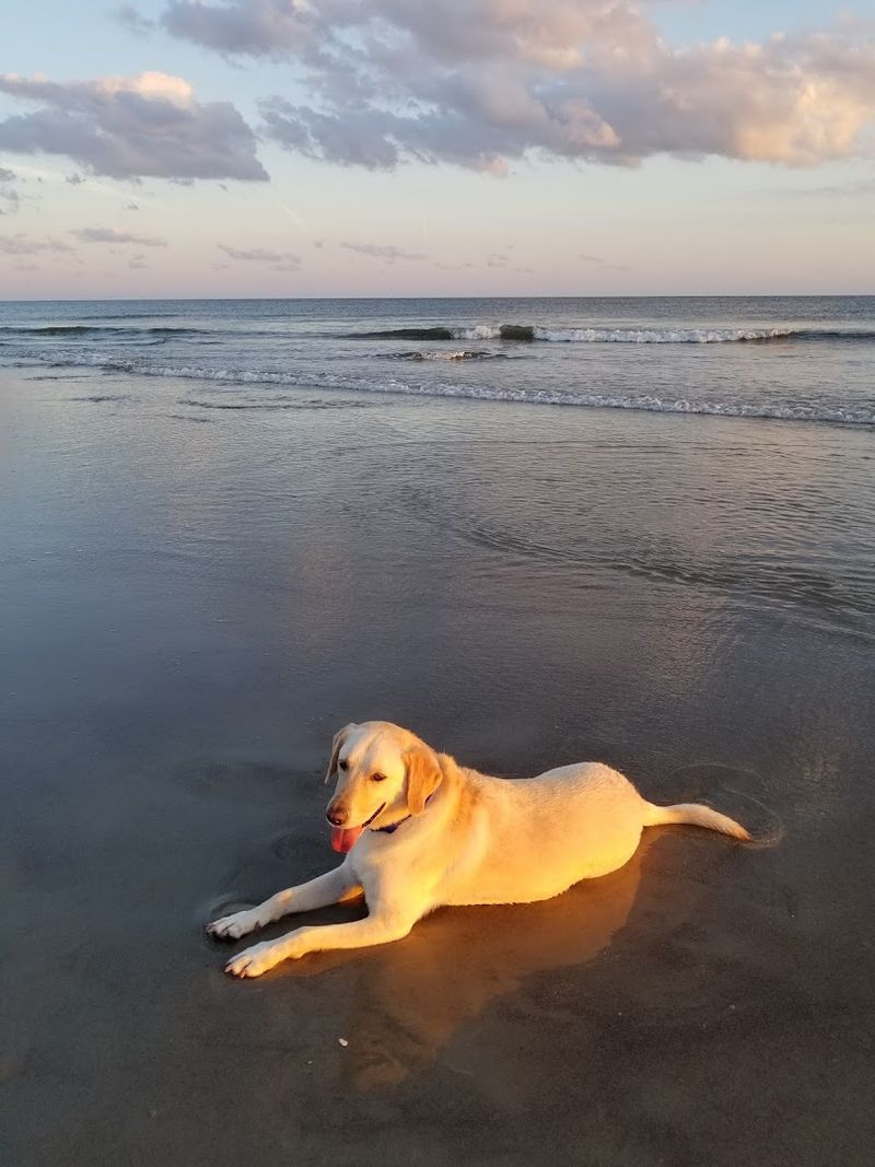 Bald Head Island Beach — Bald Head Island, North Carolina