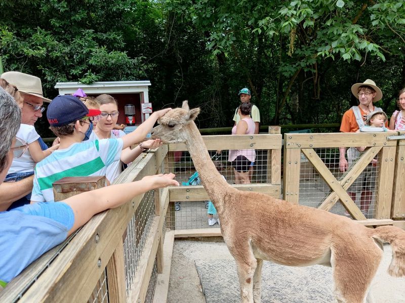 Barnyard and Farm Experience for the Youngest Visitors Barnyard and Farm Experience for the Youngest Visitors