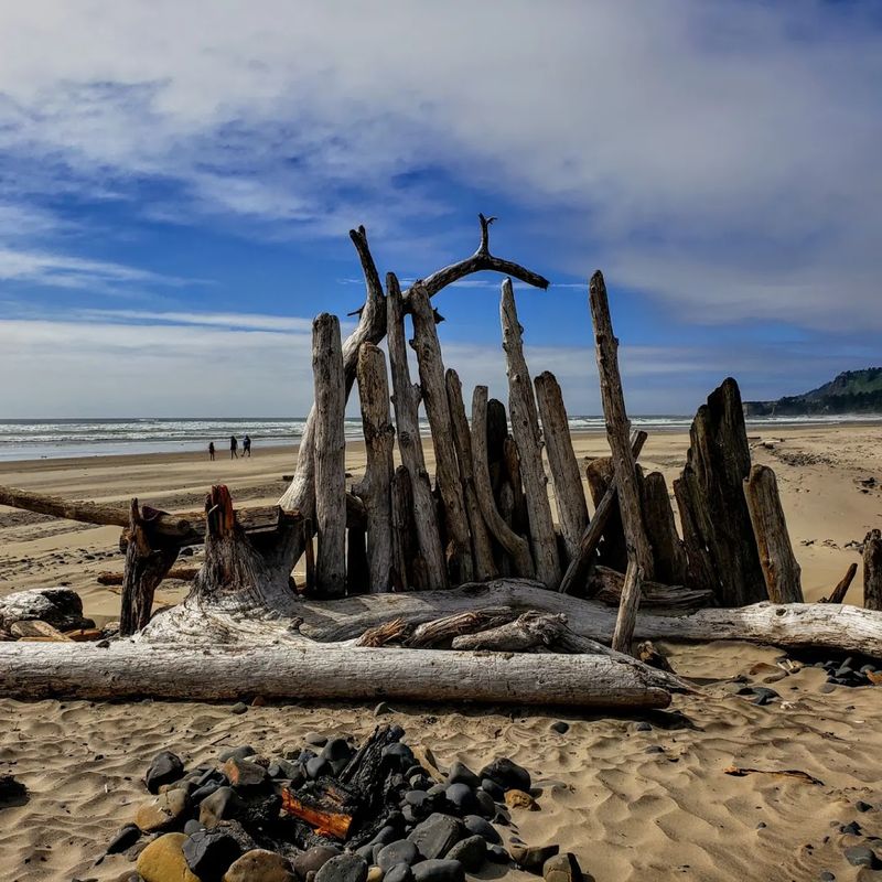Beachcombing Finds Beyond Fossils