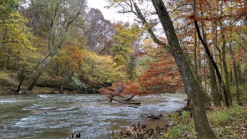 Bear Creek Trail and the Magic Along the Water