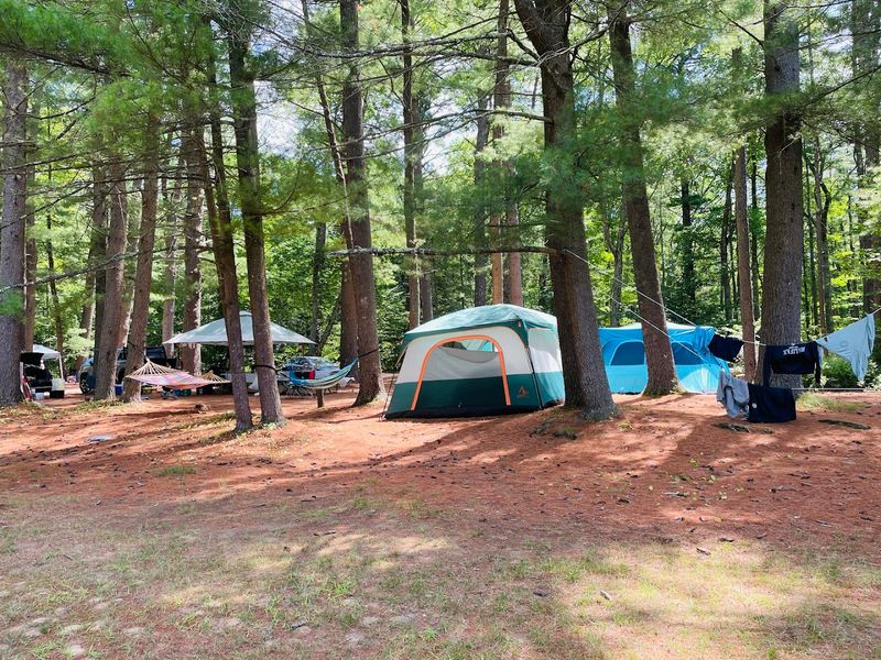 Beaver Pond and the Campground That Keeps Filling Up Every Summer Beaver Pond and the Campground That Keeps Filling Up Every Summer