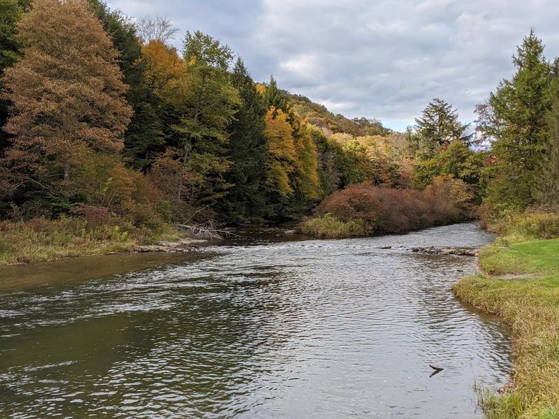 Bendigo State Park, Johnsonburg, Pennsylvania