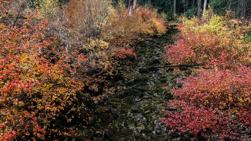 Best Seasons and Timing Your Visit