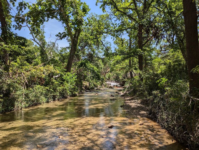 Best Time to Visit: Seasons and Crowds at the Creek