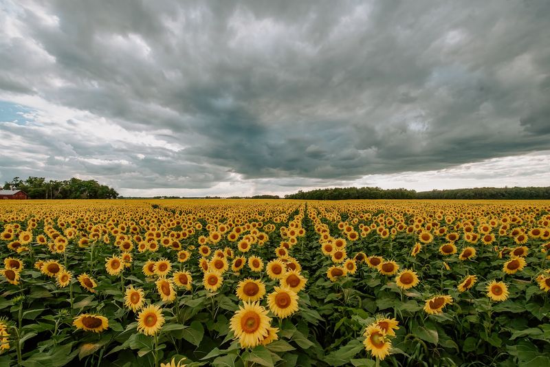 Best Time to Visit and What to Expect Seasonally Best Time to Visit and What to Expect Seasonally