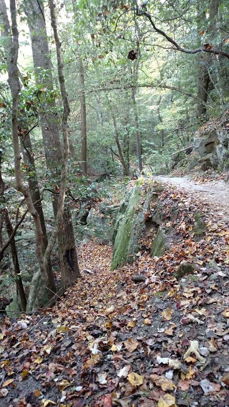 Best Times of Year to Hike Fiery Gizzard Best Times of Year to Hike Fiery Gizzard