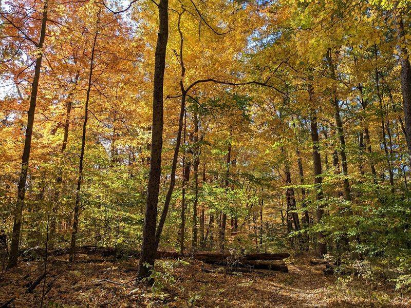 Best Times to Visit and Seasonal Considerations Best Times to Visit and Seasonal Considerations