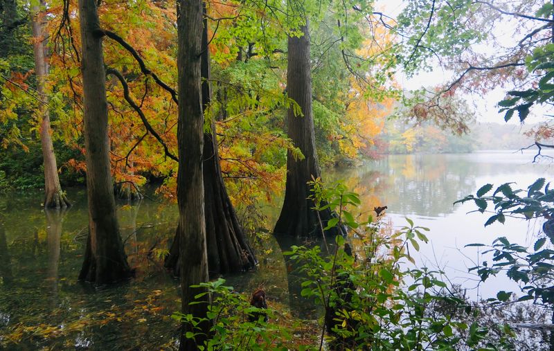 Best Times to Visit and Tips for Getting the Most Out of the Park