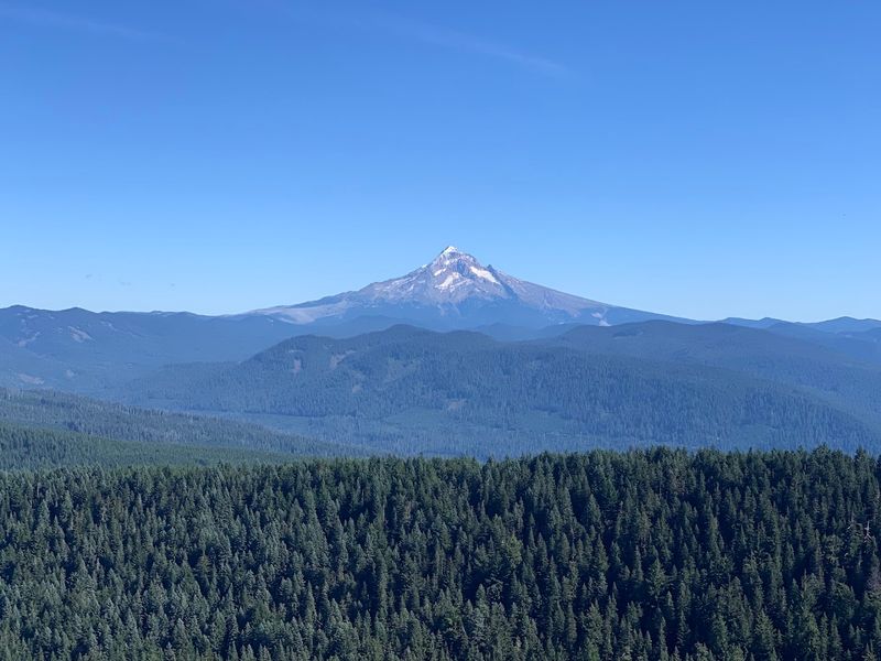Best Times to Visit and What Each Season Offers Best Times to Visit and What Each Season Offers