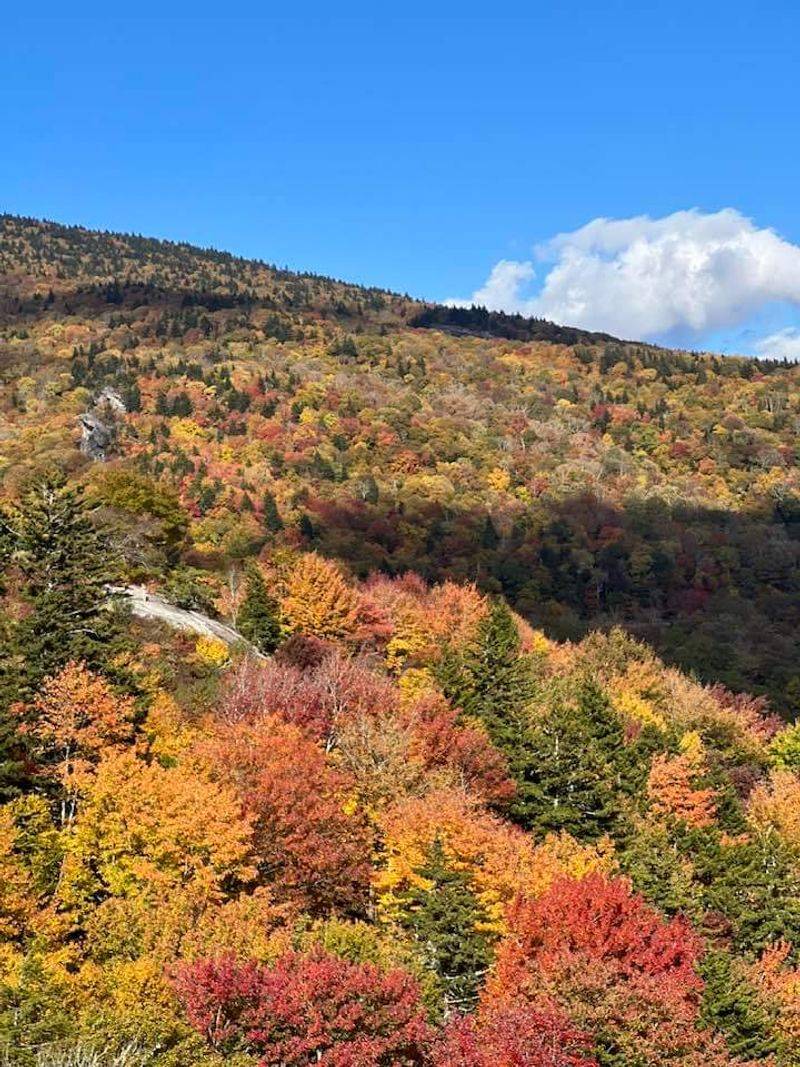 Best Times to Visit and What to Expect Each Season Best Times to Visit and What to Expect Each Season