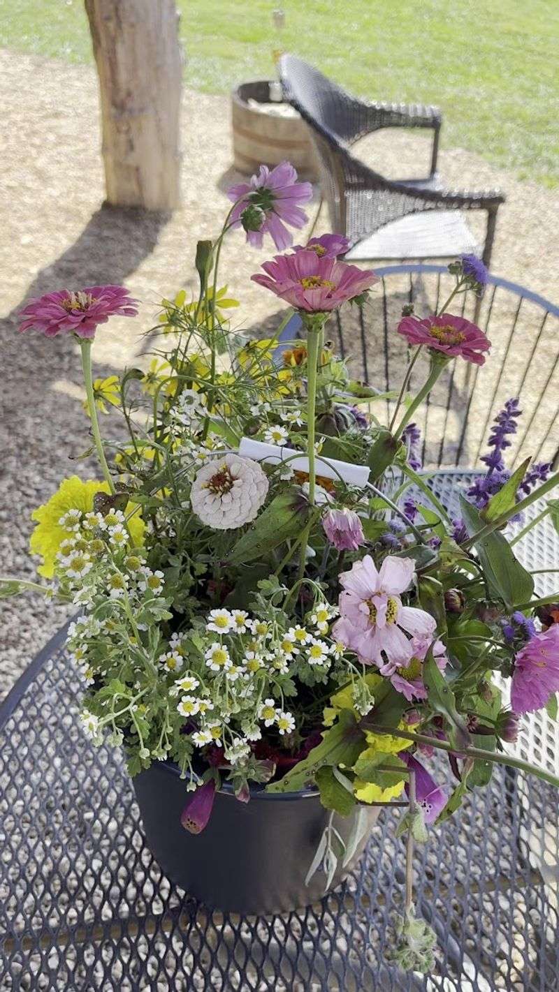 Beyond Dahlias: Other Flowers and Farm Extras