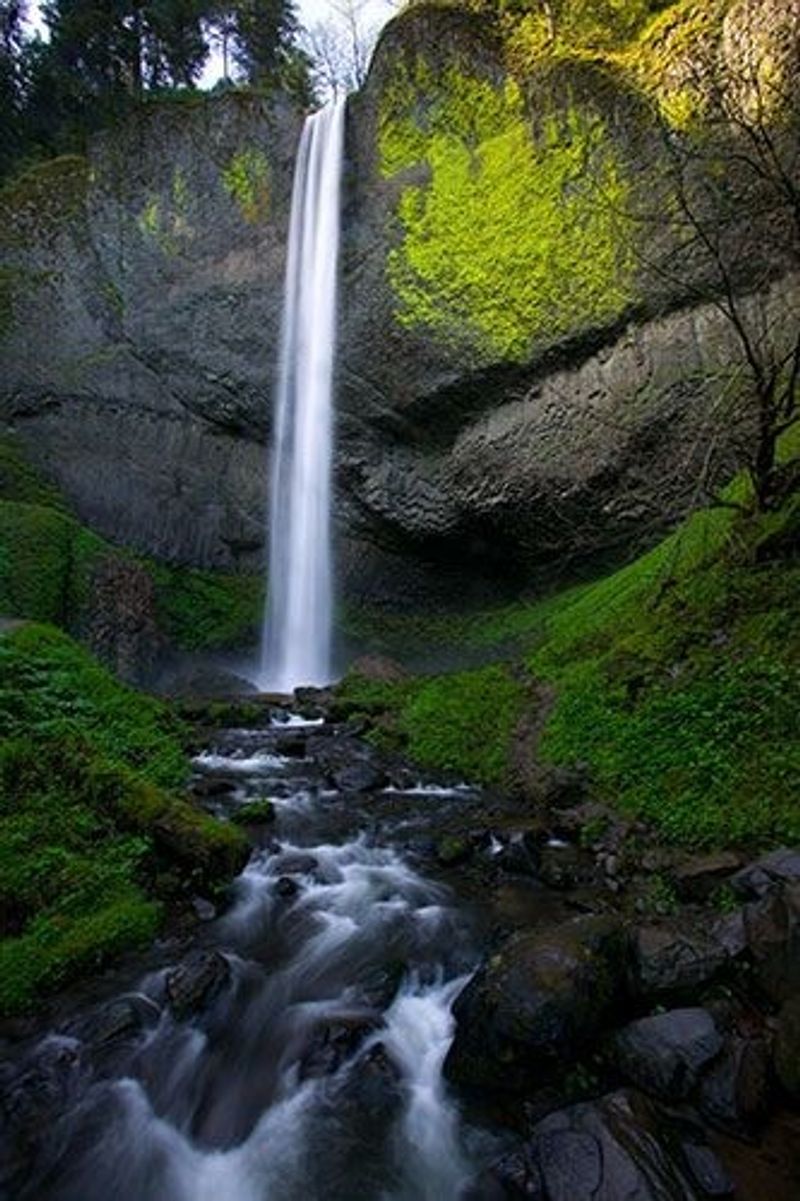 Beyond Multnomah: Waterfalls You Should Not Skip
