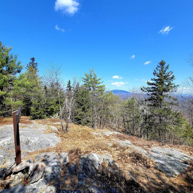 Beyond the Grove: Trails That Lead to Real Views Beyond the Grove: Trails That Lead to Real Views