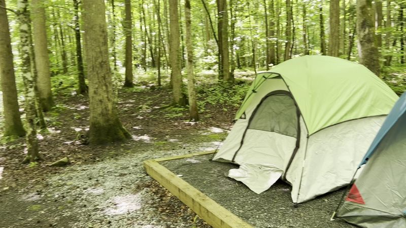 Big Creek Campground, Great Smoky Mountains National Park, Tennessee Big Creek Campground, Great Smoky Mountains National Park, Tennessee