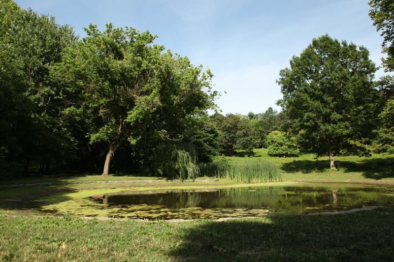Bird Watching, Wetlands, and Wildlife You Did Not Expect Bird Watching, Wetlands, and Wildlife You Did Not Expect