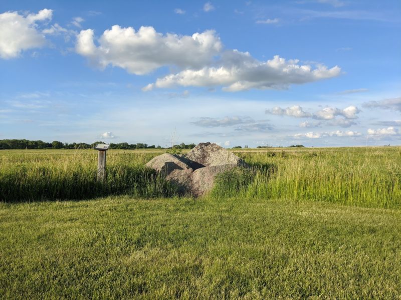 Birdwatching Across an Open Landscape