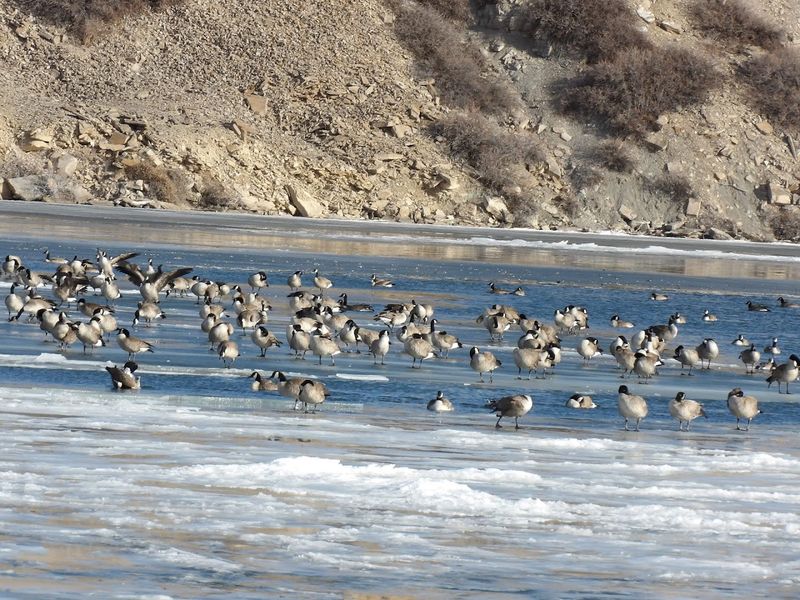 Birdwatching Here Is Seriously Worth Your Time