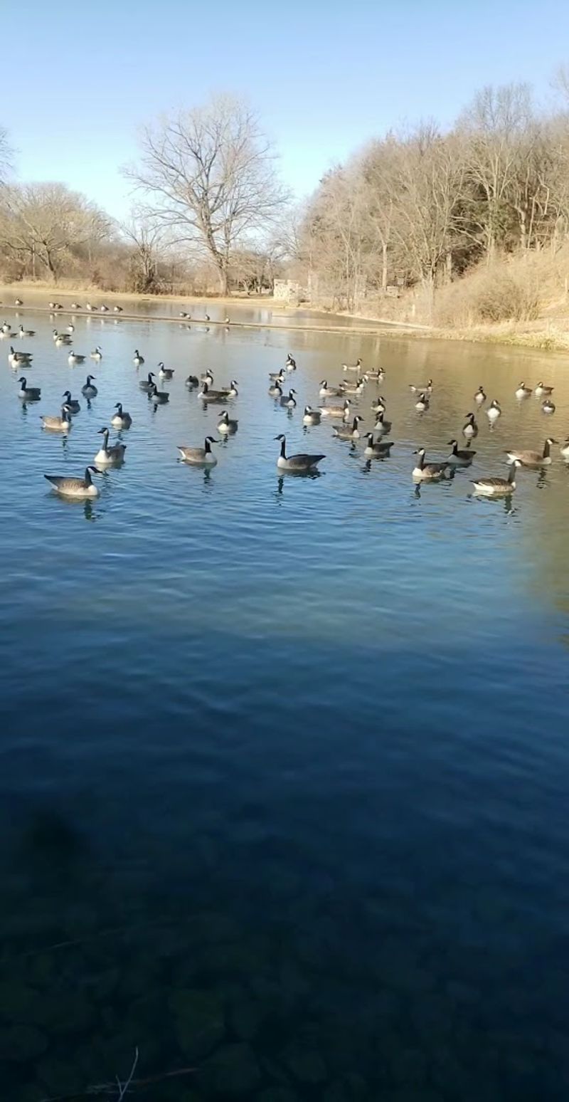 Birdwatching and the Magic of Spring Migration