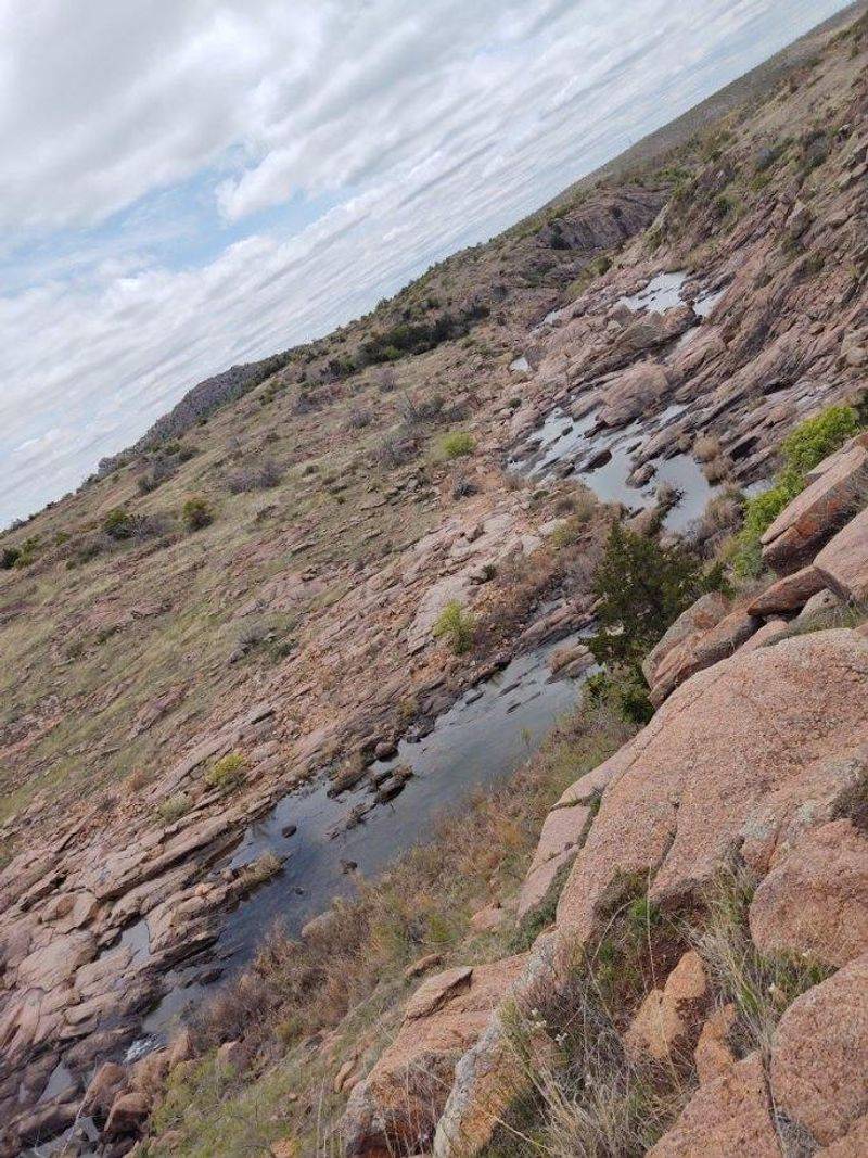 Bison Trail — Wichita Mountains Wildlife Refuge, Oklahoma Bison Trail — Wichita Mountains Wildlife Refuge, Oklahoma