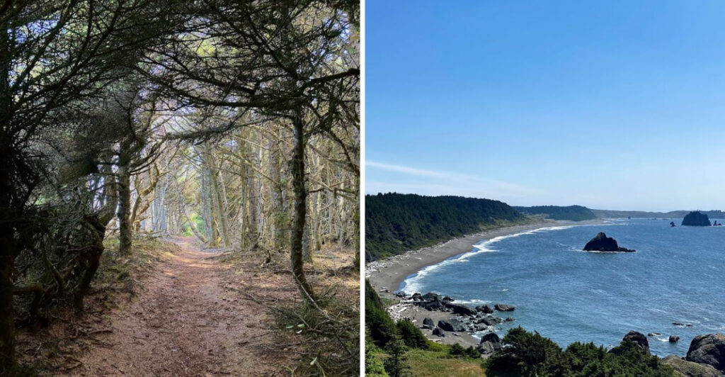 Black Sand, Echoing Sea Caves, and Near-Empty Beaches Make This Oregon Gem Feel Untouched