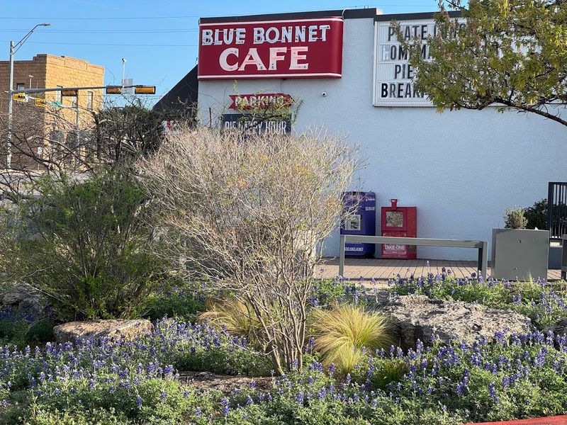 Blue Bonnet Cafe, Marble Falls, Texas