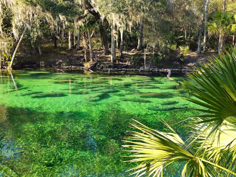 Blue Spring State Park — Florida