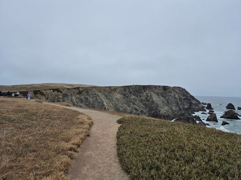 Bodega Head, Bodega Bay, California