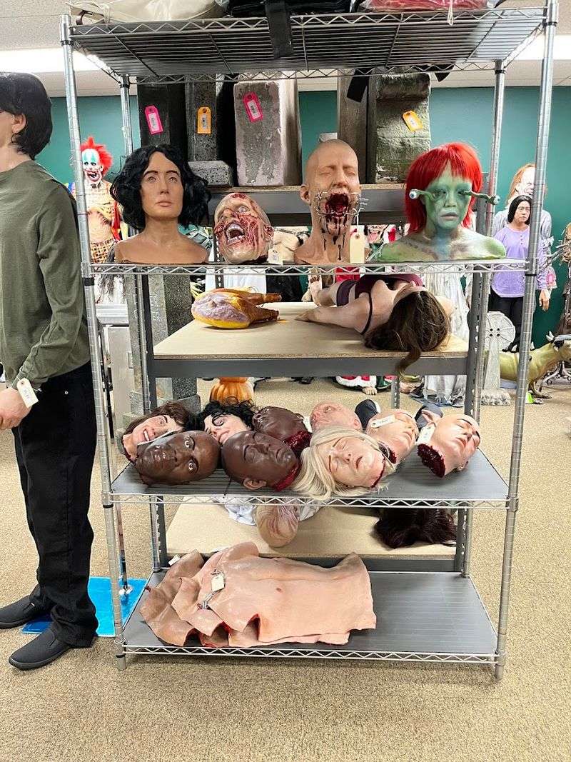 Body Parts, Moulage, and Medical Simulation Props