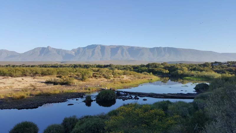 Bontebok National Park, Western Cape, South Africa