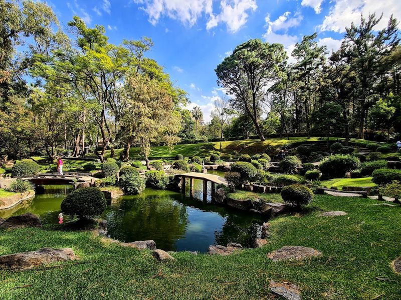 Bosque Los Colomos (Guadalajara, Mexico)