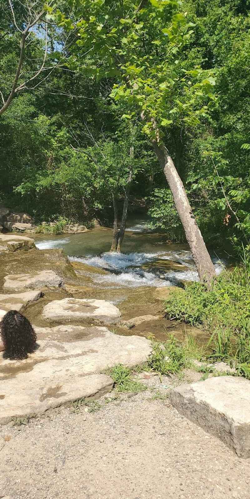 Bringing Pets: A Creek That Welcomes Four-Legged Visitors