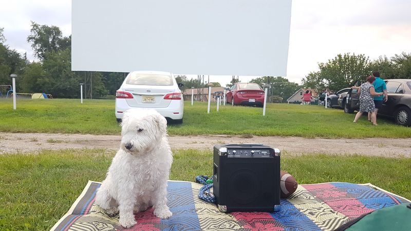 Bringing Pets and Lawn Chairs to the Show Bringing Pets and Lawn Chairs to the Show