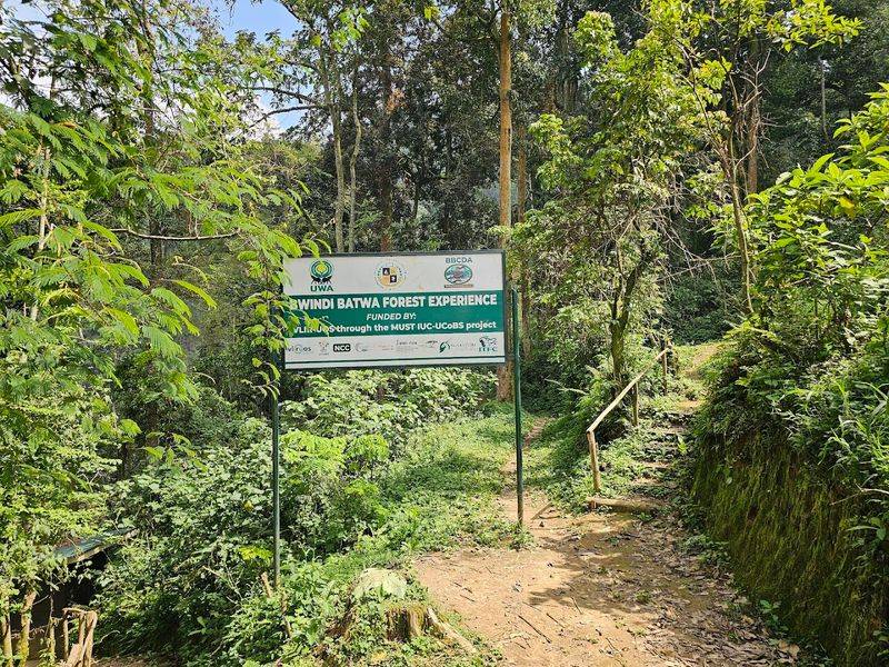 Bwindi Impenetrable National Park, Kanungu District, Uganda
