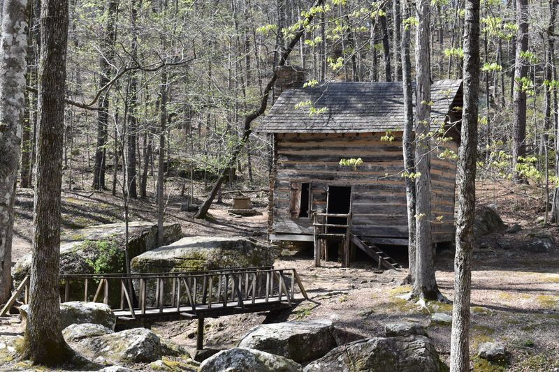 CCC Cabins With a Story Worth Telling