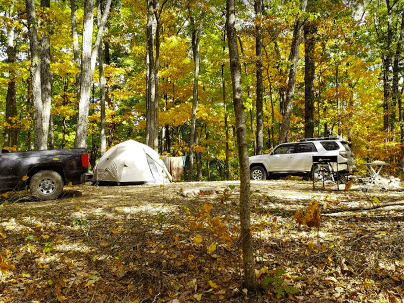 Campgrounds Across the Forest: From Full Hookups to Primitive Sites Campgrounds Across the Forest: From Full Hookups to Primitive Sites