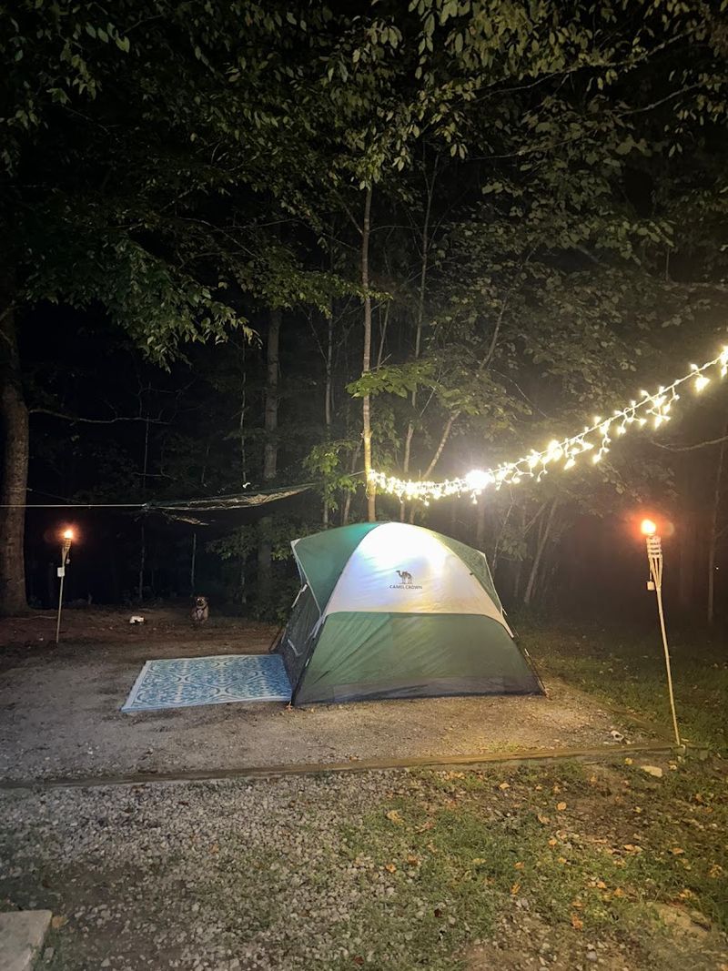 Camping, Cabins, and Overnight Options