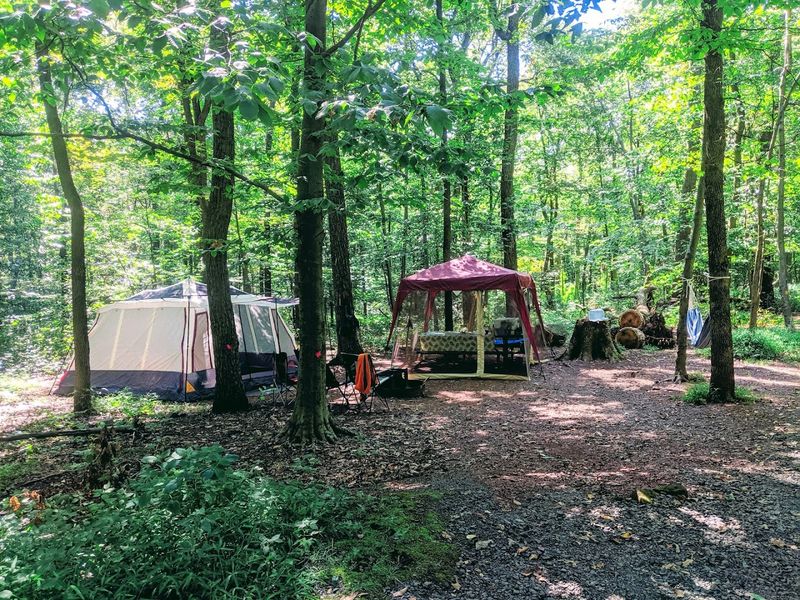 Camping Options That Cover Every Style Camping Options That Cover Every Style
