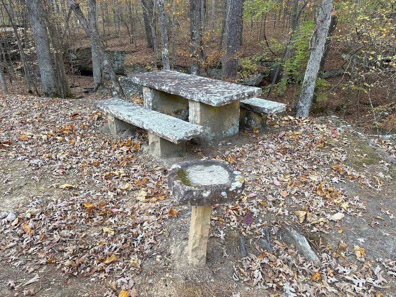 Camping Options for Every Setup