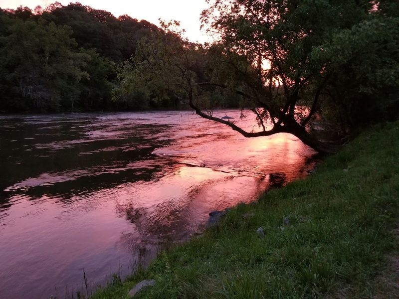 Camping Right on the Riverbank Camping Right on the Riverbank